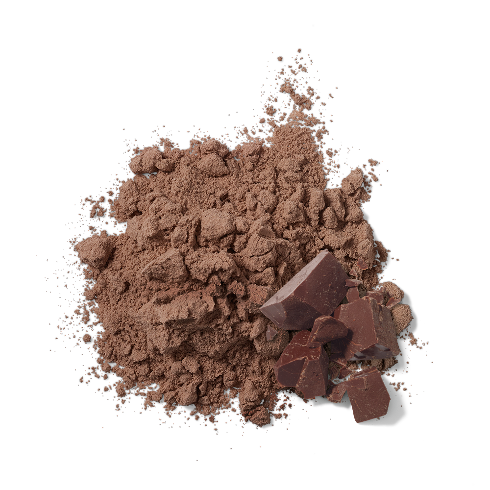 Ascent Native Fuel Protein - Chocolate