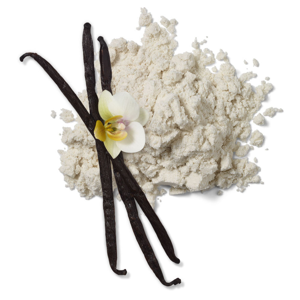 Ascent Native Fuel Protein - Vanilla