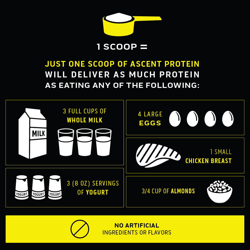 Ascent Native Fuel Protein - Chocolate